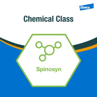 Show full view: Elanco Elector PspPremise Fly & Insect Control Spray, 8-oz slide 6 of 8