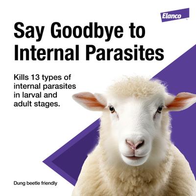 Show full view: Elanco Cydectin 0.1% Drench Dewormer, 4-L slide 2 of 6