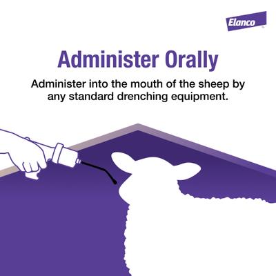 Show full view: Elanco Cydectin 0.1% Drench Dewormer, 4-L slide 5 of 6