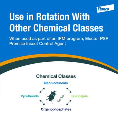 Show full view: Elanco Elector PspPremise Fly & Insect Control Spray, 8-oz slide 3 of 8
