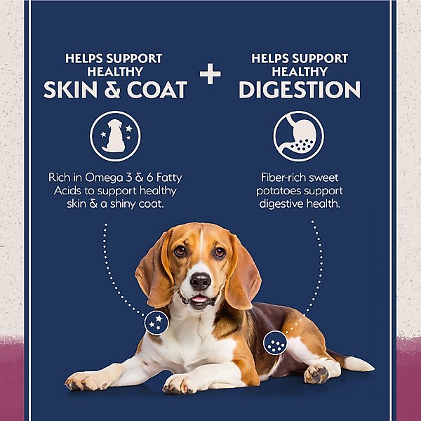 Natural Balance Limited Ingredient Reserve Grain-Free Sweet Potato & Venison Recipe Dry Dog Food