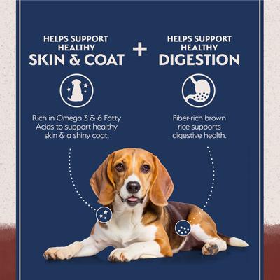 Show full view: Natural Balance Limited Ingredient Beef & Brown Rice Recipe Dry Dog Food, 12-lb bag slide 4 of 11