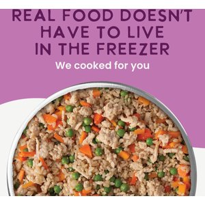 Health Extension Gently Cooked Chicken & Pumpkin Recipe Wet Dog Food, 9-oz pouch, 10 count