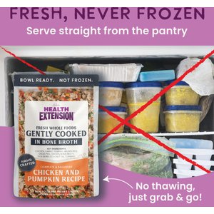 Health Extension Gently Cooked Chicken & Pumpkin Recipe Wet Dog Food, 9-oz pouch, 10 count