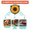 Show in main carousel: LuftPets Sunflower Snuffle Mat Dog & Cat Foraging Toy slide 3 of 11