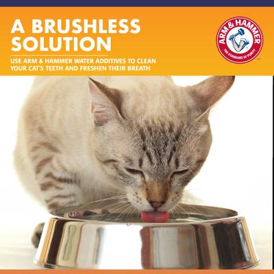 Show full view: Arm & Hammer Products Fresh Breath Unflavored Cat Dental Water Additive, 8-fl oz bottle slide 7 of 10
