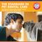 Show in main carousel: Arm & Hammer Products Fresh Breath Unflavored Cat Dental Water Additive, 8-fl oz bottle slide 9 of 10