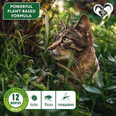 Show full view: Beloved Pets Natural Flea & Tick Collar for Cats, 2 count slide 4 of 8