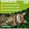 Show in main carousel: Beloved Pets Natural Flea & Tick Collar for Cats, 1 count slide 4 of 8
