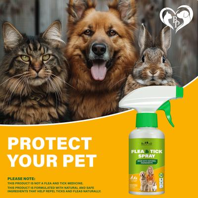 Show full view: Beloved Pets Natural Flea & Tick Home Spray for Dogs & Cats, 8.5-fl oz bottle slide 7 of 7