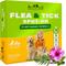 Show in main carousel: Beloved Pets Flea & Tick Prevention Spot Treatment for Small Dogs & Cats, 7.5-ml drops slide 1 of 8