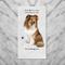 Show in main carousel: E&S PETS Sheltie Cotton Kitchen Towel slide 4 of 6