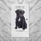 Show in main carousel: E&S PETS Black Pug Cotton Kitchen Towel slide 4 of 6