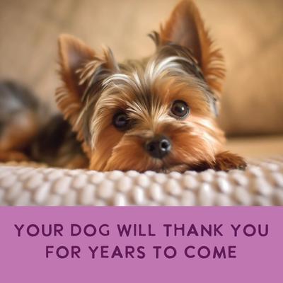 Show full view: Health Extension Gently Cooked Grain-Free Variety Pack Wet Dog Food, 3-oz pouch, 20 count slide 5 of 9