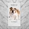 Show in main carousel: E&S PETS Bulldog Cotton Kitchen Towel slide 4 of 6