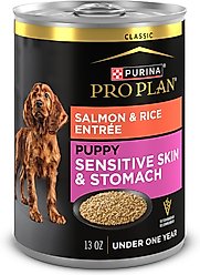 Purina Pro Plan Sensitive Stomach & Skin Puppy Salmon & Rice Entrée Classic Wet Dog Food, 13-oz can, case of 12