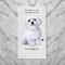 Show in main carousel: E&S PETS Maltese Cotton Kitchen Towel slide 4 of 6