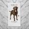 Show in main carousel: E&S PETS Chocolate Labrador Cotton Kitchen Towel slide 4 of 6