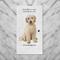 Show in main carousel: E&S PETS Goldendoodle Cotton Kitchen Towel slide 4 of 6