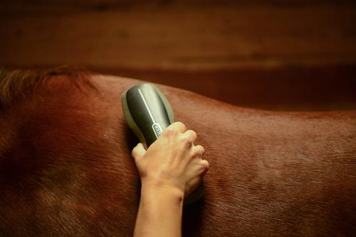 Show full view: Wahl Soft Body Horse Brush, Black/Grey slide 5 of 7