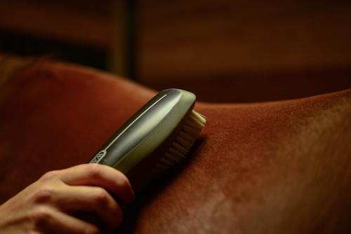 Show full view: Wahl Soft Body Horse Brush, Black/Grey slide 6 of 7