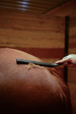 Show full view: Wahl Equine Shedding Tool, Black slide 8 of 8