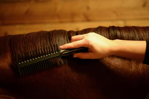 Show full view: Wahl Mane Braiding Horse Comb, Black/Grey slide 4 of 5