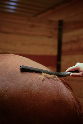 Show full view: Wahl Equine Shedding Tool, Black slide 7 of 8