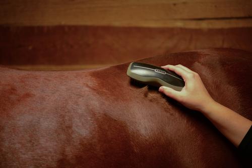 Show full view: Wahl Horse Rubber Curry Brush, Black slide 8 of 8