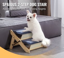 jansno Natural 2-in-1 Foldable Wooden Dog Stairs & Ramp, Natural, 2 steps