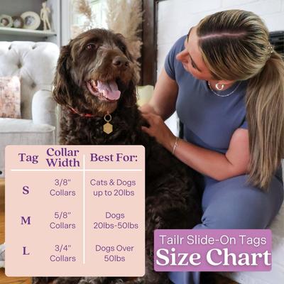 Show full view: Tailr Slide-On QR Slide On Silent Digital Pet Profile Personalized Dog & Cat ID Tag, Gold, Large slide 8 of 10