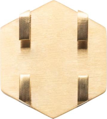 Show full view: Tailr Slide-On QR Slide On Silent Digital Pet Profile Personalized Dog & Cat ID Tag, Gold, Medium slide 9 of 9