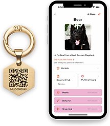 Tailr Classic QR Code Dog & Cat ID Tag, Gold, Small