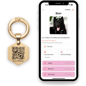 Tailr Classic QR Code Dog & Cat ID Tag, Gold, Small