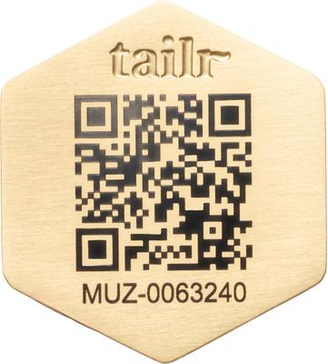 Show full view: Tailr Slide-On QR Slide On Silent Digital Pet Profile Personalized Dog & Cat ID Tag, Gold, Large slide 9 of 10