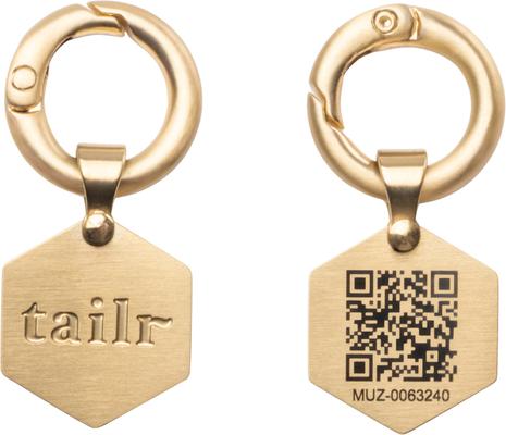 Show full view: Tailr Classic QR Code Hanging Digital Pet Profile Personalized Dog & Cat ID Tag, Gold, Small slide 9 of 10