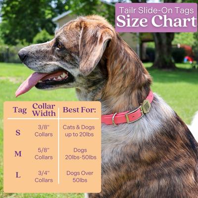 Show full view: Tailr Slide-On QR Slide On Silent Digital Pet Profile Personalized Dog & Cat ID Tag, Gold, Medium slide 7 of 9