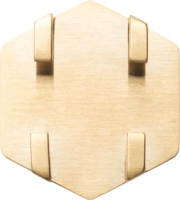 Show full view: Tailr Slide-On QR Slide On Silent Digital Pet Profile Personalized Dog & Cat ID Tag, Gold, Large slide 10 of 10