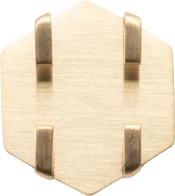 Show full view: Tailr Slide-On QR Slide On Silent Digital Pet Profile Personalized Dog & Cat ID Tag, Gold, Small slide 9 of 9