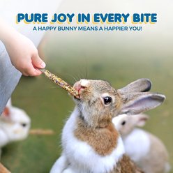 SunGrow Organic Natural Apple Wood Sticks with Petals Rabbit Food, 18 count slide 2 of 6