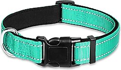 Vila Reflective Nylon Adjustable Dog Collar, Teal, Large: 16 to 24-in neck, 1-in wide slide 2 of 3