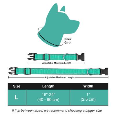 Show full view: Vila Reflective Nylon Adjustable Dog Collar, Teal, Large: 16 to 24-in neck, 1-in wide slide 3 of 3