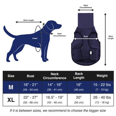 Show full view: Vila Onesie Dog Recovery Suit, Medium slide 4 of 4