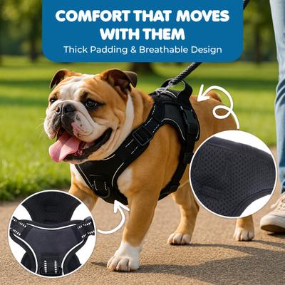 Show full view: Vila Adjustable Reflective No Pull Dog Harness, Black, Large, 17 to 34-in chest slide 4 of 8