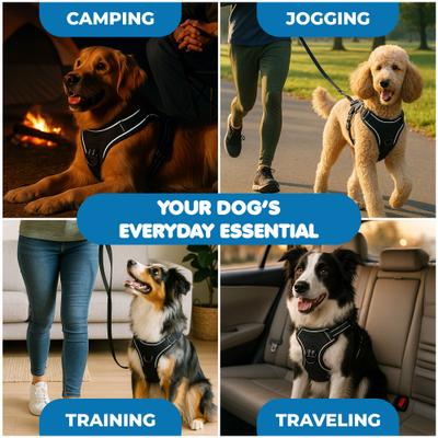 Show full view: Vila Adjustable Reflective No Pull Dog Harness, Black, Large, 17 to 34-in chest slide 6 of 8