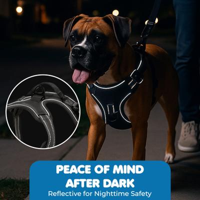 Show full view: Vila Adjustable Reflective No Pull Dog Harness, Black, Large, 17 to 34-in chest slide 5 of 8