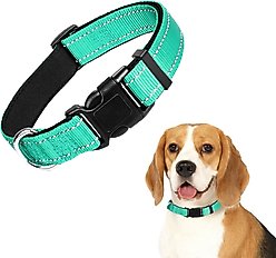 Vila Reflective Nylon Adjustable Dog Collar, Teal, Large: 16 to 24-in neck, 1-in wide