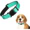 Show in main carousel: Vila Reflective Nylon Adjustable Dog Collar, Teal, Large: 16 to 24-in neck, 1-in wide slide 1 of 3