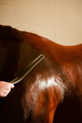 Show full view: Wahl Equine Sweat Scraper, Black slide 5 of 7