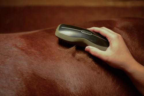 Show full view: Wahl Horse Rubber Curry Brush, Black slide 7 of 8